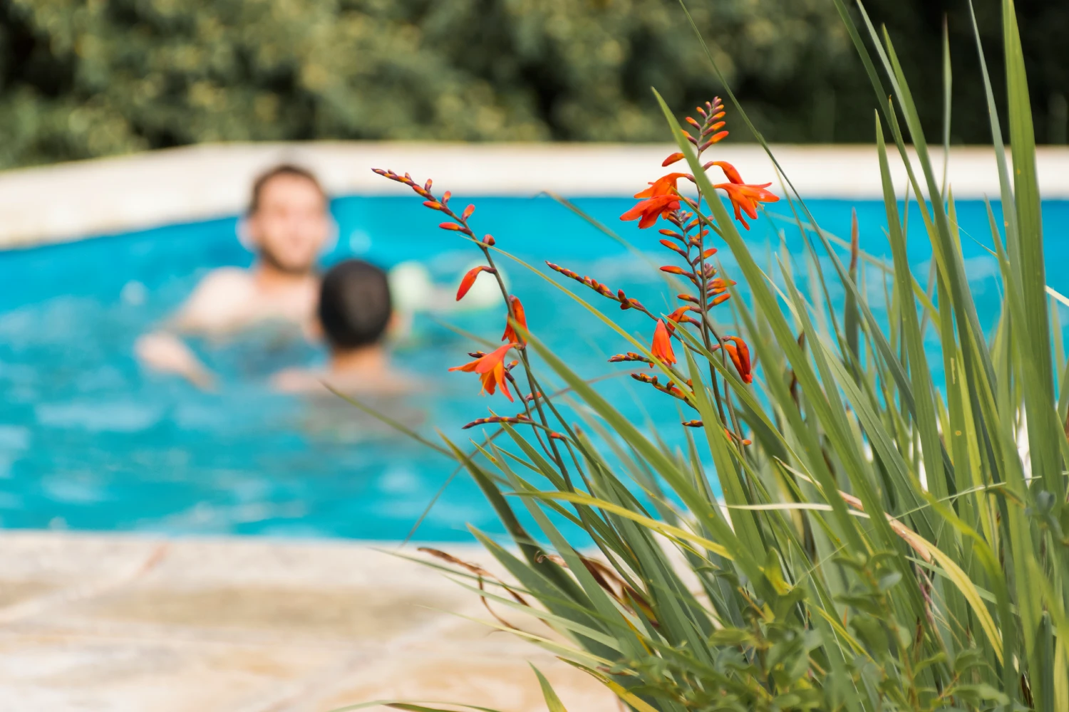 piscina en el verano